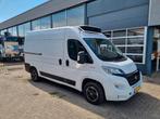 Fiat Ducato 2.3D L2H2 Koelwagen/ Carrier Xarios 300/ Standby, Achterwielaandrijving, Gebruikt, Euro 6, Wit