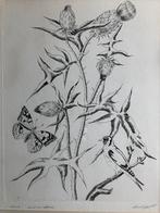 ets Antoon Herckenrath (1907-1977) Distel, Antiek en Kunst, Kunst | Etsen en Gravures, Ophalen of Verzenden