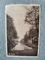 oude postkaart  klein formaat - Kasterlee - Nethezicht, Verzamelen, Antwerpen, Ongelopen, Ophalen of Verzenden