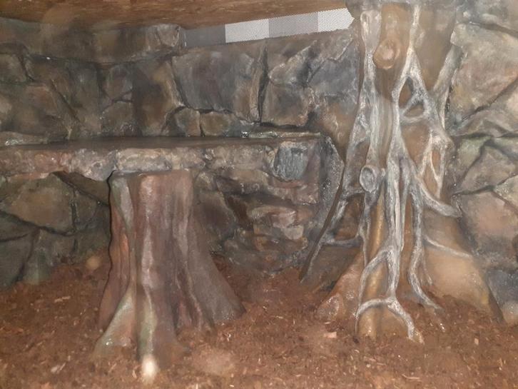 Osb3 terrarium epoxy, Animaux & Accessoires, Reptiles & Amphibiens | Accessoires, Comme neuf, Terrarium ou Paludarium, Enlèvement