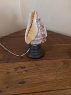 Lampe coquillage, Ophalen, Gebruikt, Ancien, Minder dan 50 cm