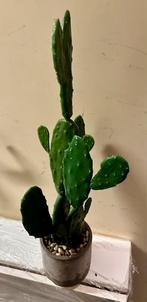 Cactus artificiel décoratif (intérieur / extérieur), Comme neuf, Intérieur