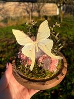 Opgezette vlinder - Luna Moth op lavendel quartz, Verzamelen, Dierenverzamelingen, Ophalen of Verzenden, Nieuw, Insect, Opgezet dier