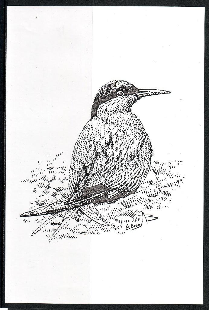 Postzegels België : Diverse zwart/wit velletjes en andere, Postzegels en Munten, Postzegels | Europa | België, Postfris, Overig