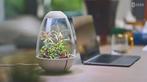 Chihiros Tiny Terrarium Egg DE-versie

Chihiros Tiny, Ophalen, Kunststof, Led - modern, Nieuw
