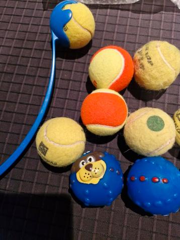 Hondenspeelgoed beschikbaar voor biedingen