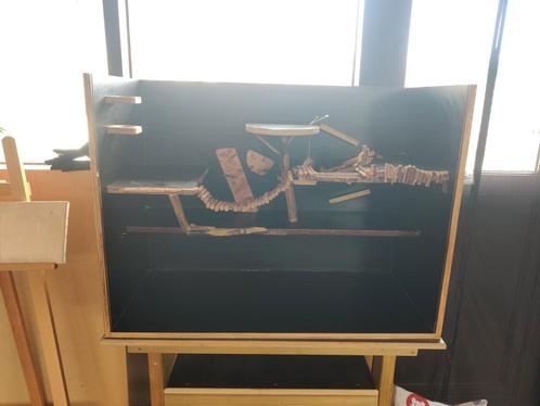 Compleet pakket gerbilarium 100x74x46cm, Dieren en Toebehoren, Knaagdieren en Konijnen | Hokken en Kooien, Gebruikt, Kooi, 60 tot 90 cm