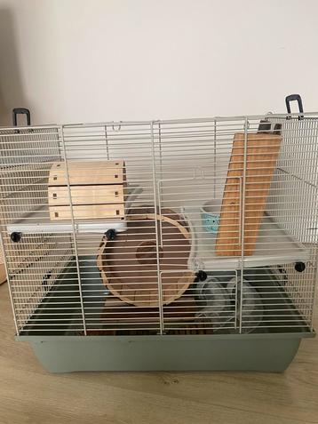 Verzorgde hamsterkooi + eten, Dieren en Toebehoren, Ophalen, Kooi, Hamster
