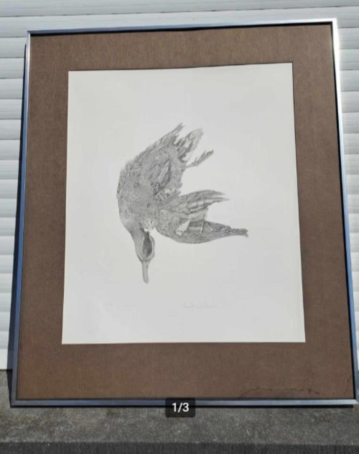 Lithographie oiseaux mort signe paul georges klein, Antiek en Kunst, Kunst | Litho's en Zeefdrukken, Ophalen of Verzenden