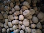 Voederaardappelen, Zakelijke goederen, Landbouw | Veevoer, Ophalen
