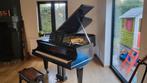 Blüthner model 6 vleugel 190 cm, Muziek en Instrumenten, Piano's, Ophalen, Gebruikt, Piano