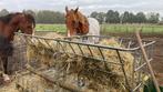 Hooiruif gemaakt van ibc container, Dieren en Toebehoren, Stalling en Weidegang