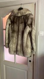 Grijze vos, Kleding | Dames, Ophalen, Gedragen, Maat 38/40 (M)