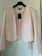 Nieuw zacht roze blazer Lola Liza, Vêtements | Femmes, Vestes & Costumes, Enlèvement ou Envoi, Neuf