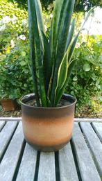 Retro bloempot W-Germany vintage Ø 22,5cm, Ophalen of Verzenden, Binnen