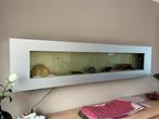 Aquarium voor aan de muur (incl filters en alle toebehoren), Ophalen, Gebruikt, Gevuld zoetwateraquarium