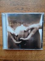 CD Lamb : Between Darkness And Wonder, Enlèvement