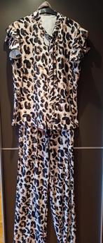 Broek met bloesje, Vêtements | Femmes, Combinaisons, Enlèvement, Comme neuf, Taille 42/44 (L)