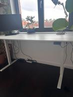 Fezibo electric Standing Desk, Maison & Meubles, Bureaux, Enlèvement, Électrique, Comme neuf, Bureau