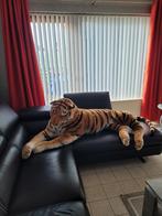 Tigroux te koop heel mooi intact dier, Ophalen, Nieuw, Overige materialen