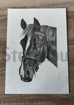 Handgetekend realistisch paardenportret, Enlèvement