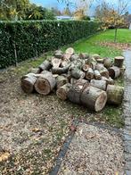 Brandhout populier, Tuin en Terras, Brandhout, 3 tot 6 m³, Ophalen, Overige houtsoorten, Blokken