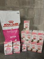 Royal Canin Kitten: 13 kg brokjes + 115 zakjes natvoer, Dieren en Toebehoren, Ophalen, Kat