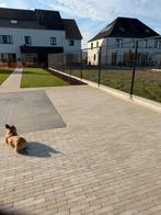 228 klinkers Cassia Latte 20x5x6, Tuin en Terras, Tegels en Klinkers, Ophalen, Klinkers