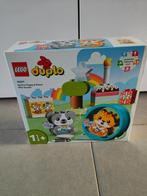 NIEUW - Lego 10977 - Duplo - My first puppy & kitten with so, Ophalen of Verzenden, Nieuw, Complete set, Duplo