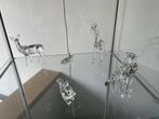 Verzameling swarovski, Ophalen of Verzenden, Nieuw, Dier