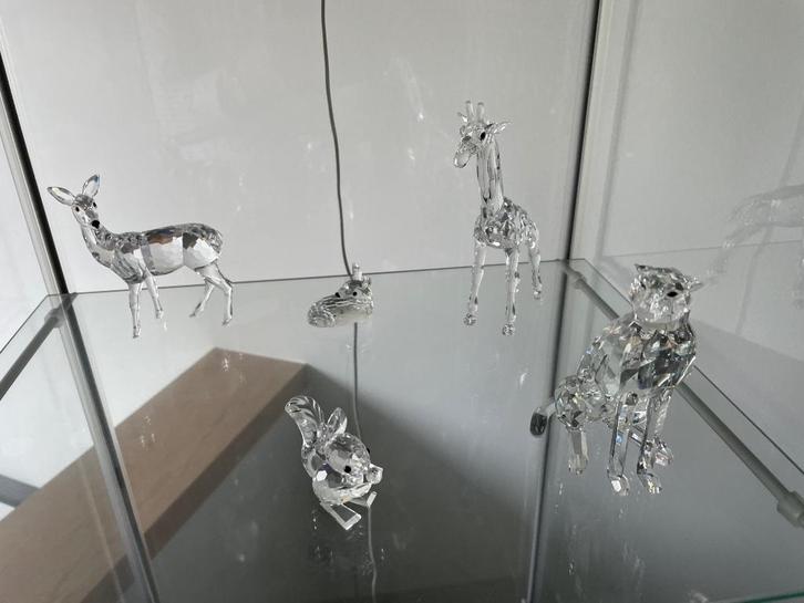 Verzameling swarovski, Verzamelen, Beelden en Beeldjes, Nieuw, Dier, Ophalen of Verzenden