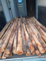 Kastanje palen 8/10, 2,5 m lang, Tuin en Terras, Ophalen of Verzenden