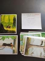 Jungle boek, Verzamelen, Ophalen of Verzenden