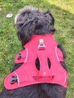 Ruffwear anti-ontsnappingsharnas, Dieren en Toebehoren, Ophalen, Zo goed als nieuw, Hondenriem-accessoire