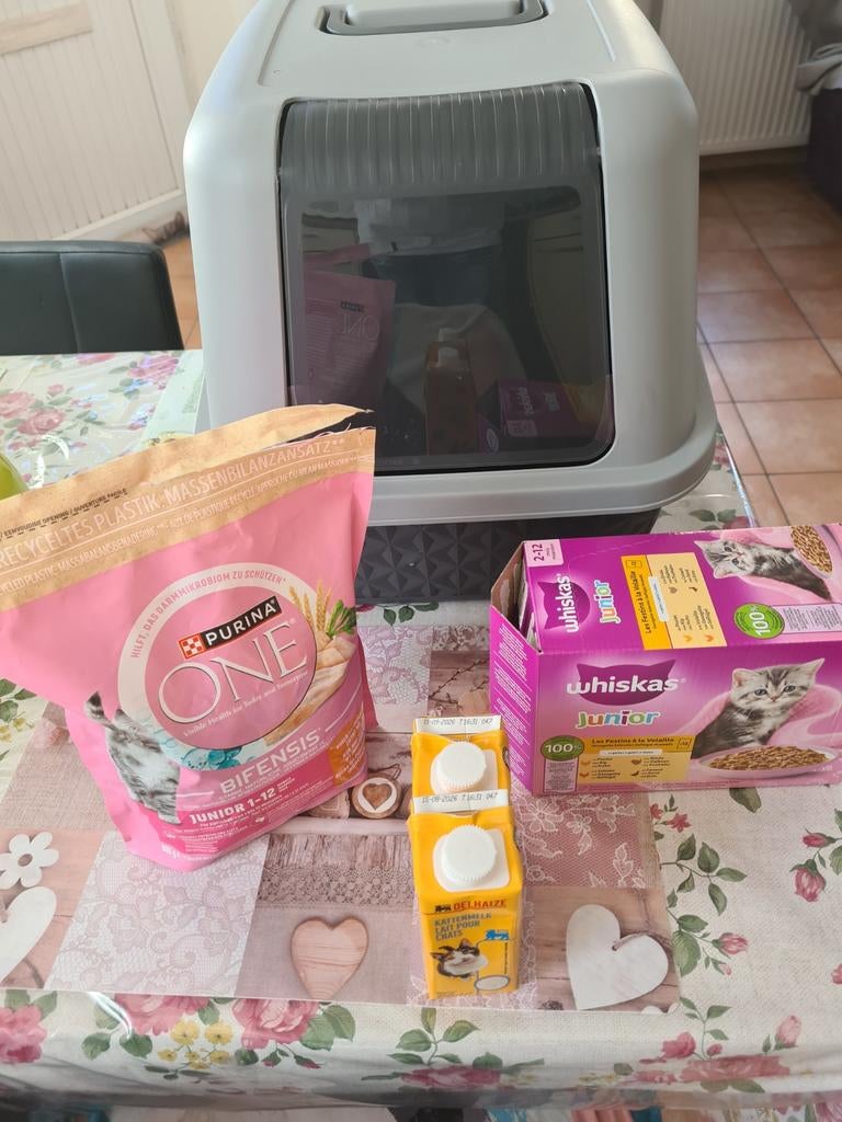 Chat, Enlèvement ou Envoi, Neuf, Fermé