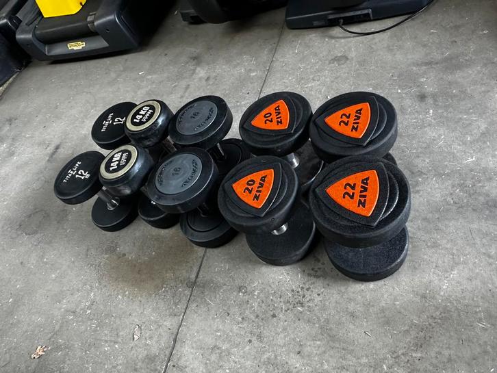 Vaste Dumbells 2x12kg ,2x14kg,2x16kg,2x20kg,2x22kg, Sport en Fitness, Fitnessmaterialen, Gebruikt, Dumbbell, Ophalen