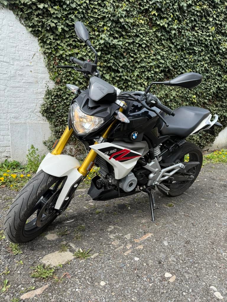 BMW 310R, Entreprise