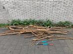 Bois de chauffage gratuit, Jardin & Terrasse, Bois de chauffage, Enlèvement, Autres essences de bois, Branches