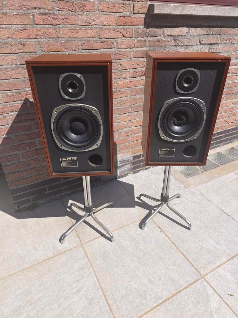 Prachtige Set Vintage Tannoy T115 Speakers, Ophalen