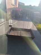 Deze kooi is te groot voor onze vogel, Enlèvement