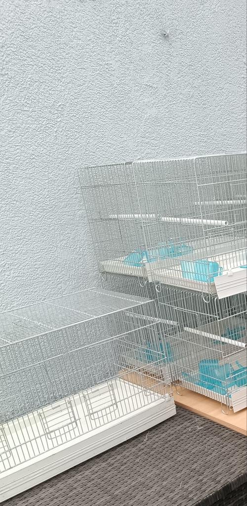 Kanaries, Dieren en Toebehoren