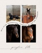 Pensionstal aangeboden/Pensionstal vrij – Hulten (NB), Dieren en Toebehoren, Stalling, 4 paarden of pony's of meer