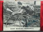 pancarte publicitaire RODANIA Eddy MERCKX Molteni dédicacé, Envoi, Maillot