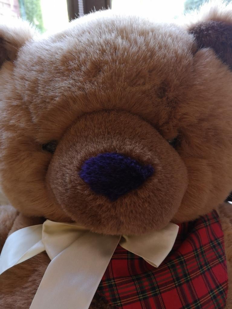 Peluche Ours brun, Collections, Ours & Peluches, Enlèvement, Comme neuf