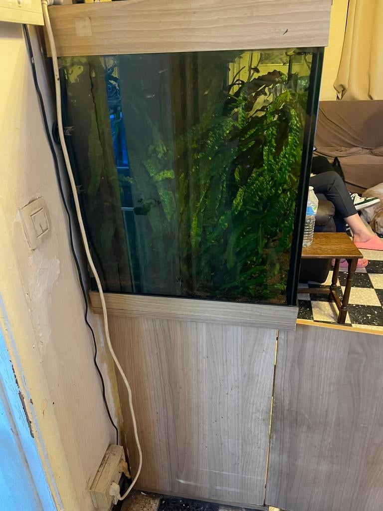 Aquarium 450 litre, Enlèvement ou Envoi