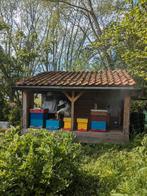 Bijenvolken, Abeilles