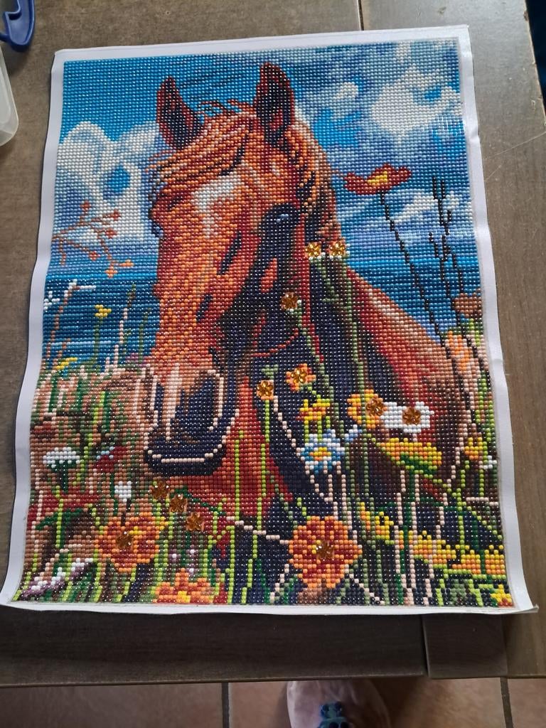 Diamand painting al gemaakt mag gratis af gehaald worden, Ophalen