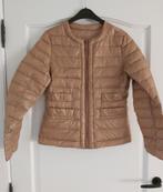 Jas 2 elles maat L, 2 elles, Ophalen of Verzenden, Zo goed als nieuw, Maat 38/40 (M)