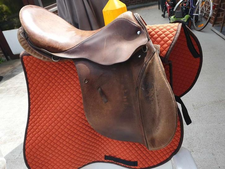 EQUITATION Selle, Animaux & Accessoires, Chevaux & Poneys | Selles, Enlèvement