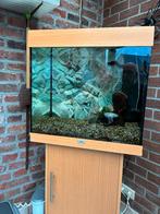 Aquarium, Dieren en Toebehoren, Ophalen, Gebruikt, Gevuld zoetwateraquarium